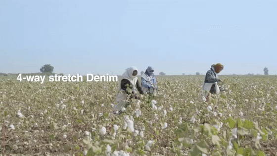 1677742794705386.gif 52.gif